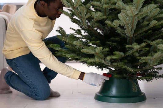 How To Look After A Real Christmas Tree