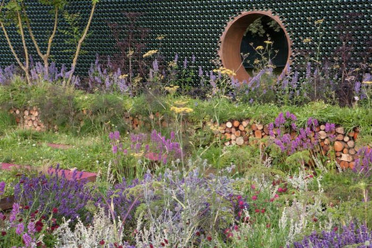 How to create an eco-friendly garden