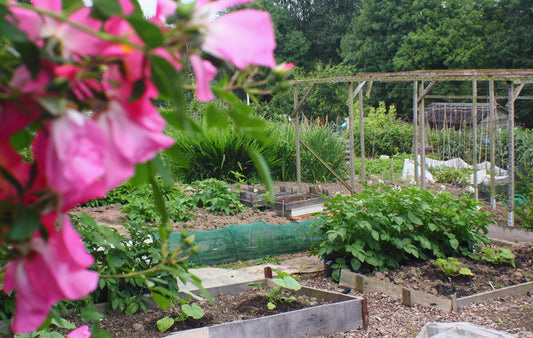 Gardening In May