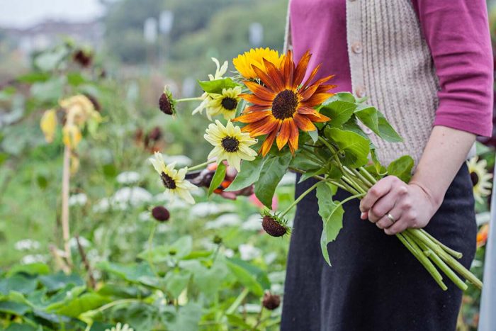 Plant Influencers Rich List