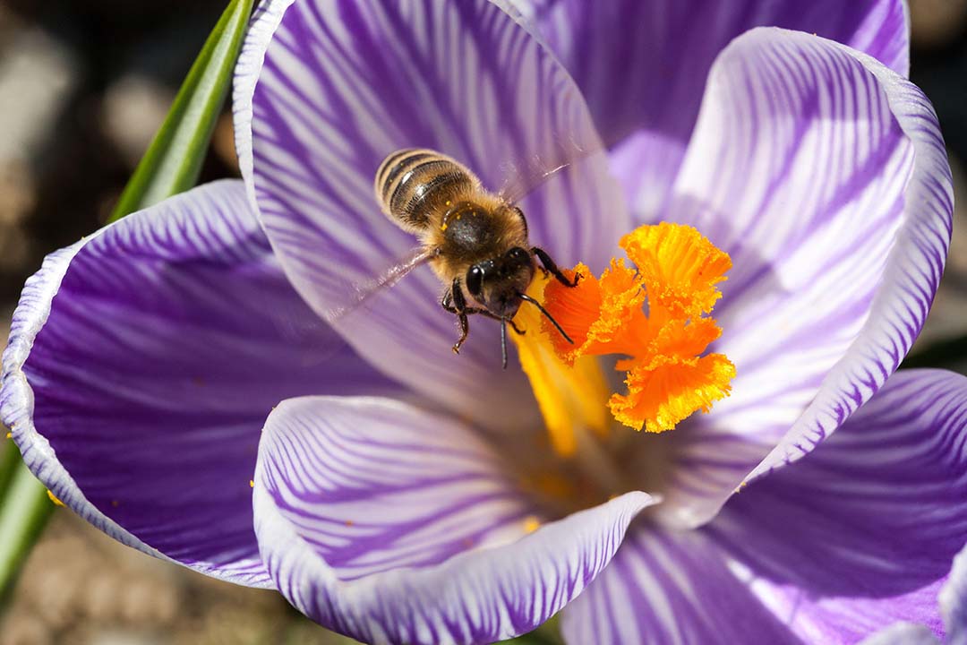 Summer Garden Ideas To Help Transform Your Outside Space