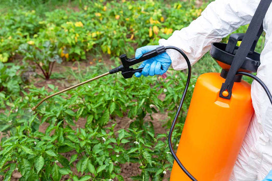 Best weed killers for a tidy garden