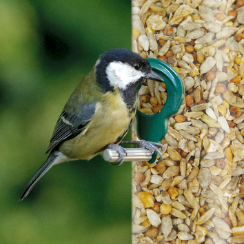 Bird Seed Mix