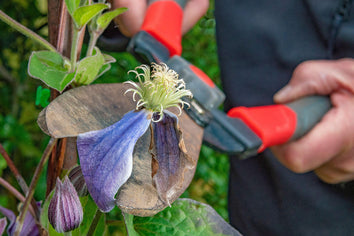 Garden Hand Tools