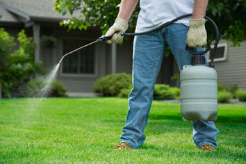 Lawn Fertiliser