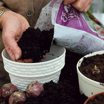 Bulb Planting Tools