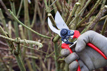 Cutting & Pruning Tools