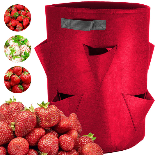 Strawberry Pocket Grow Bag