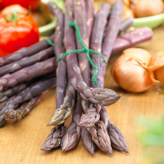 Asparagus 'Pacific Purple'