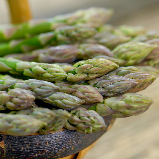 Asparagus 'Millennium'