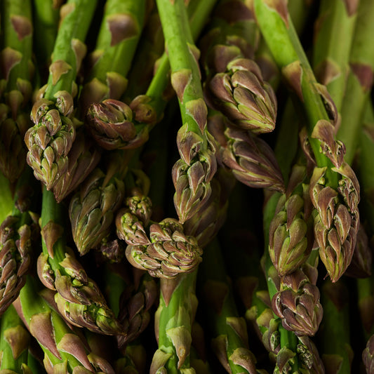 Asparagus 'Mondeo'