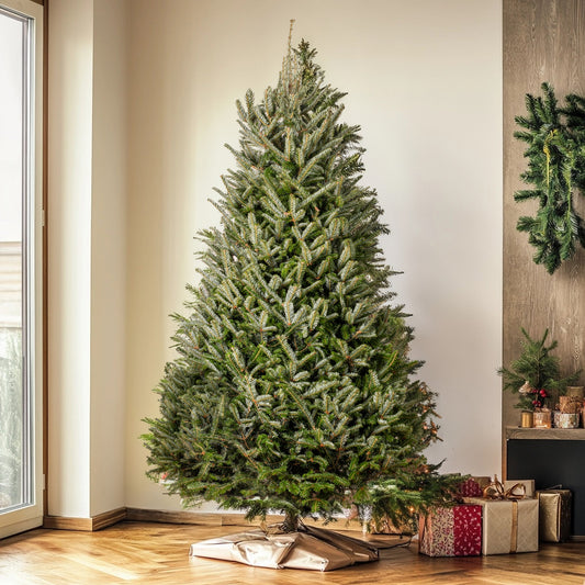 Fraser Fir Fresh Cut Christmas Tree