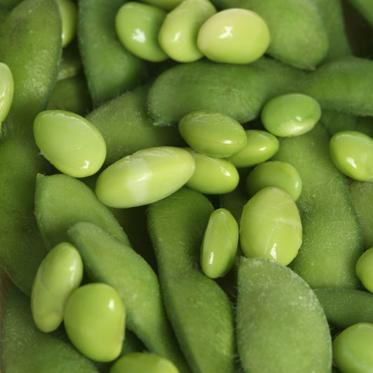 Edamame Bean Green Shell