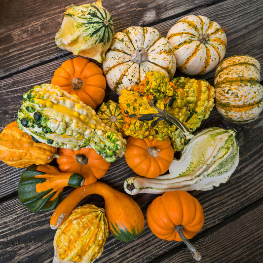 Gourd Ornamental Mixed