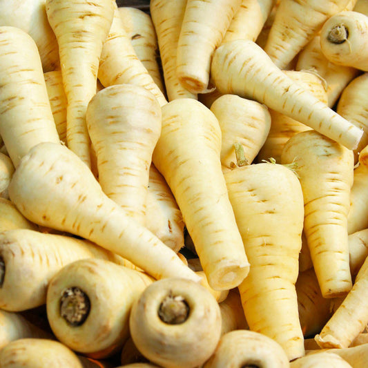 Parsnip 'Imperial Crown'