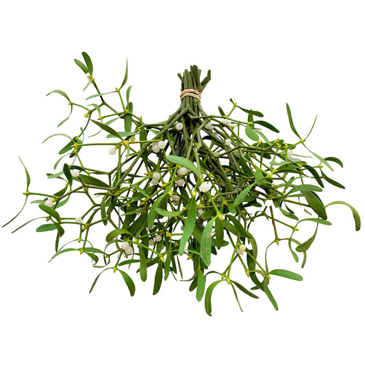 Mistletoe Bundle