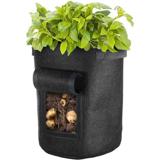 Vegetable Window Grow Bag