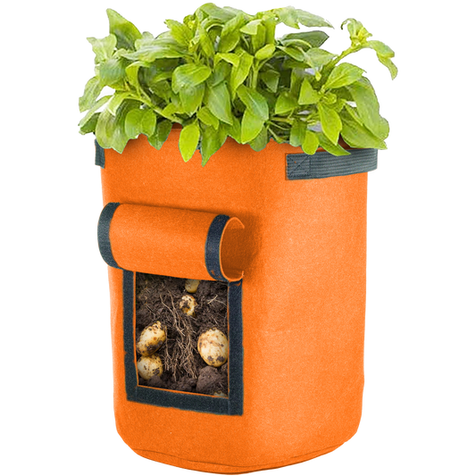 Orange Vegetable Window Grow Bag