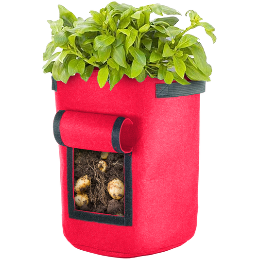 Red Vegetable Window Grow Bag