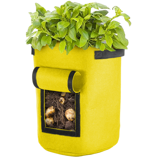 Yellow Vegetable Window Grow Bag