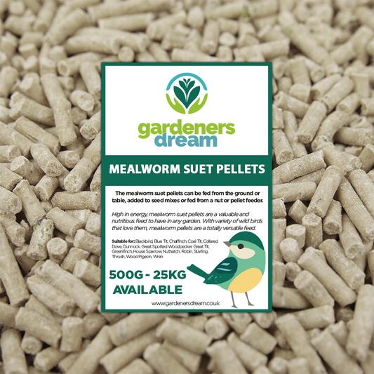 Mealworm Suet Pellets