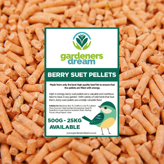 Gardeners Dream Berry Suet Pellets