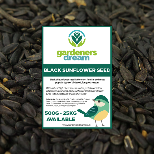 Gardeners Dream Black Oil Sunflower Seeds