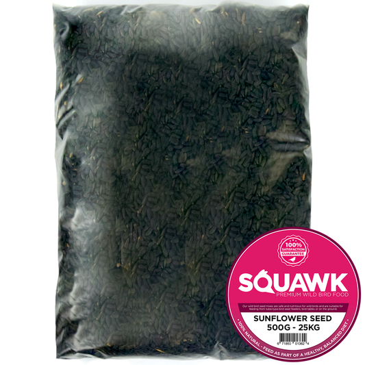 SQUAWK Black Oil Sunflower Seeds