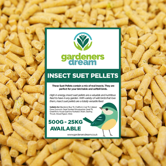 Gardeners Dream Insect Suet Pellets