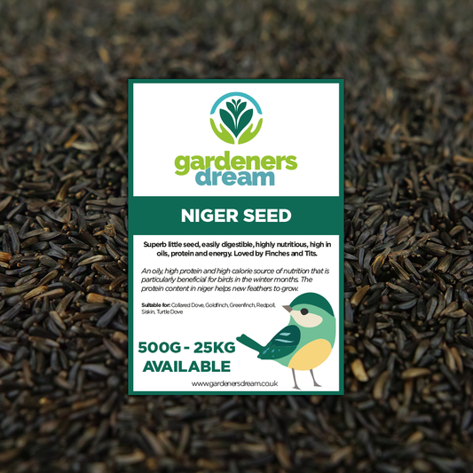 Gardeners Dream Niger Seeds