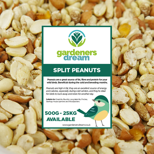 Gardeners Dream Split Peanuts