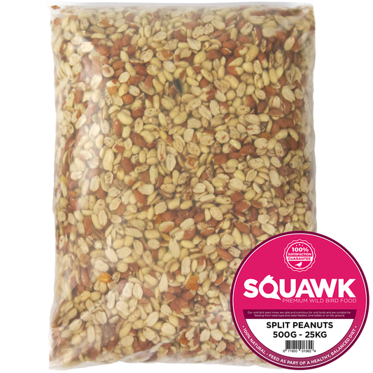 SQUAWK Split Peanuts