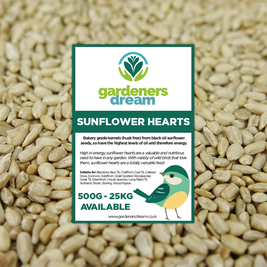 Gardeners Dream Sunflower Hearts