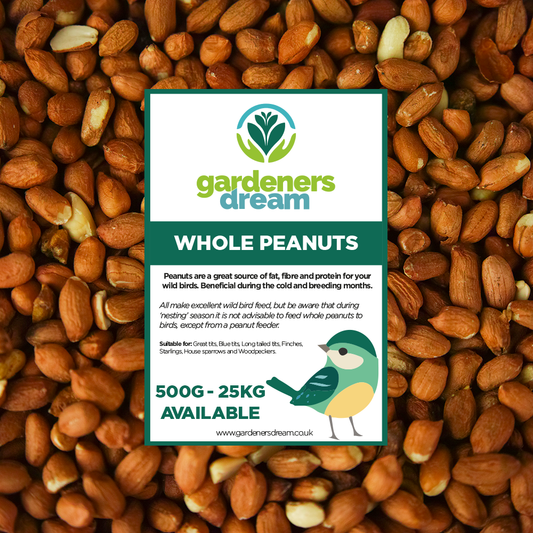 Gardeners Dream Whole Peanuts