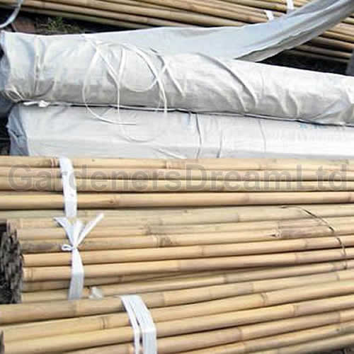 Garden Bamboo Cane Supports