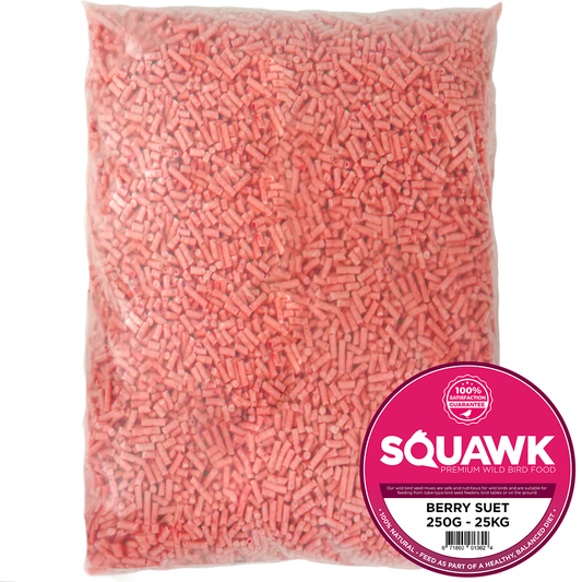 SQUAWK Berry Suet Pellets