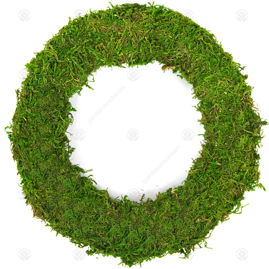 Gardeners Dream Padded Moss Effect Wreath Rings