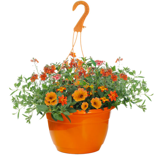 Hanging Basket - Orange Shades