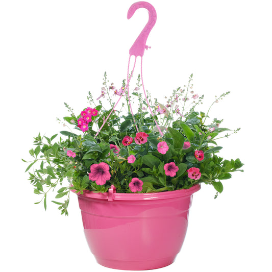 Hanging Basket - Pink Shades