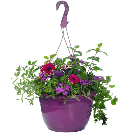 Hanging Basket - Purple Shades