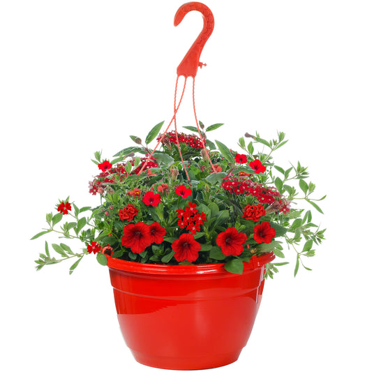 Hanging Basket - Red Shades