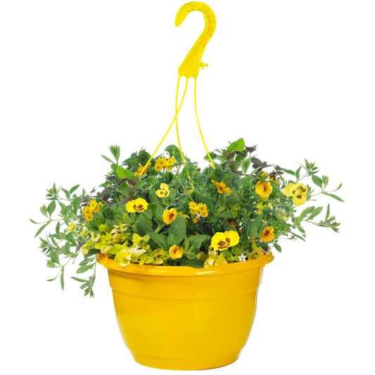 Hanging Basket - Yellow Shades