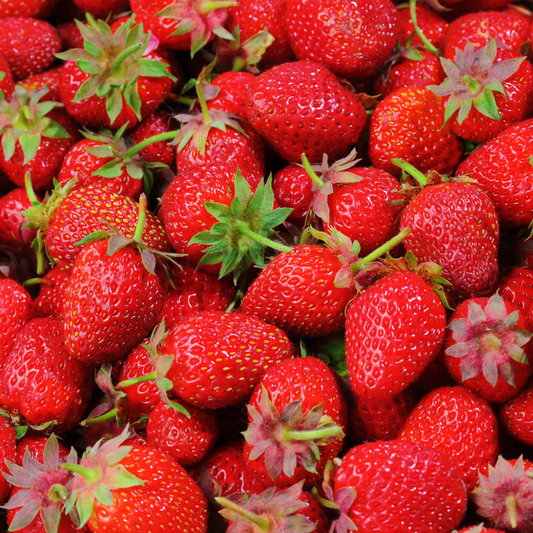 Strawberry 'Elsanta' Bare Root Plants