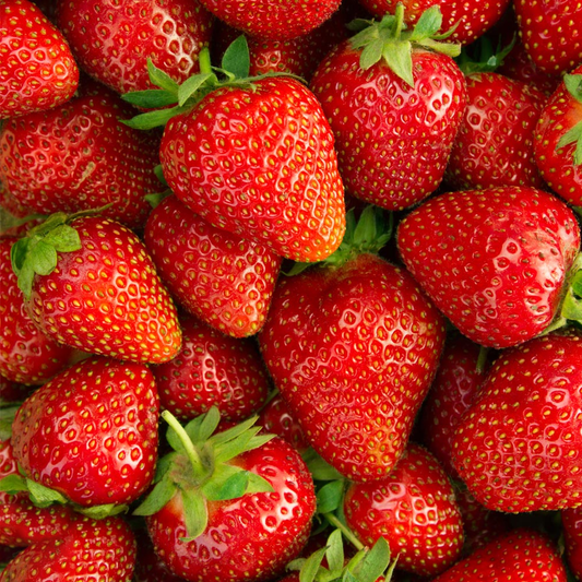 Strawberry 'Elsanta'