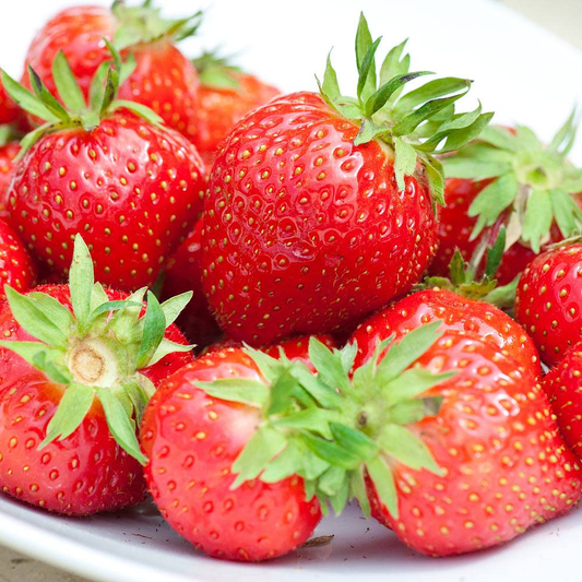 Strawberry 'Flamenco' Bare Root Plants