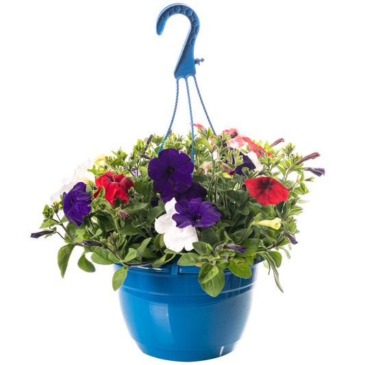 Hanging Basket - British Red, White, Blue