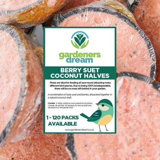 Gardeners Dream Berry Suet Filled Coconut Halves