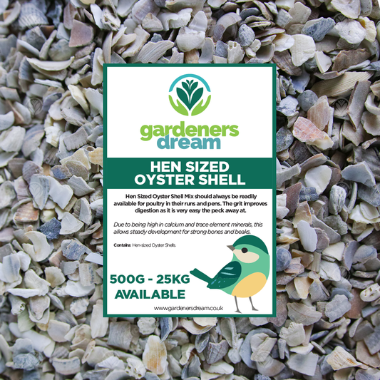 Gardeners Dream Hen Sized Oyster Shell