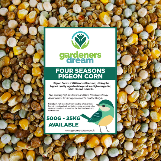 Gardeners Dream Four Seasons Pigeon Corn