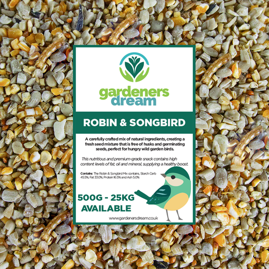 Gardeners Dream Robin & Songbird